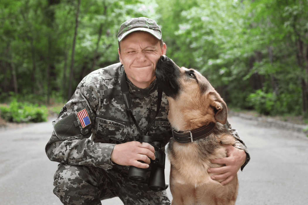 Paws of Valor