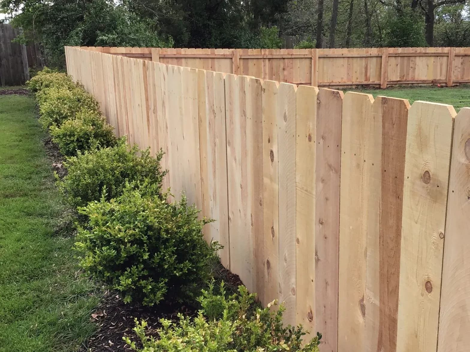 Wooden Fencing