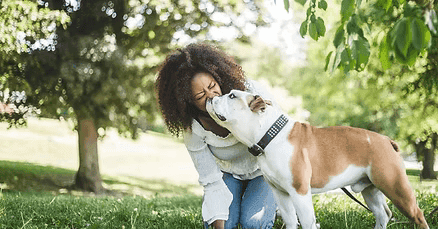 Happy dog with owner