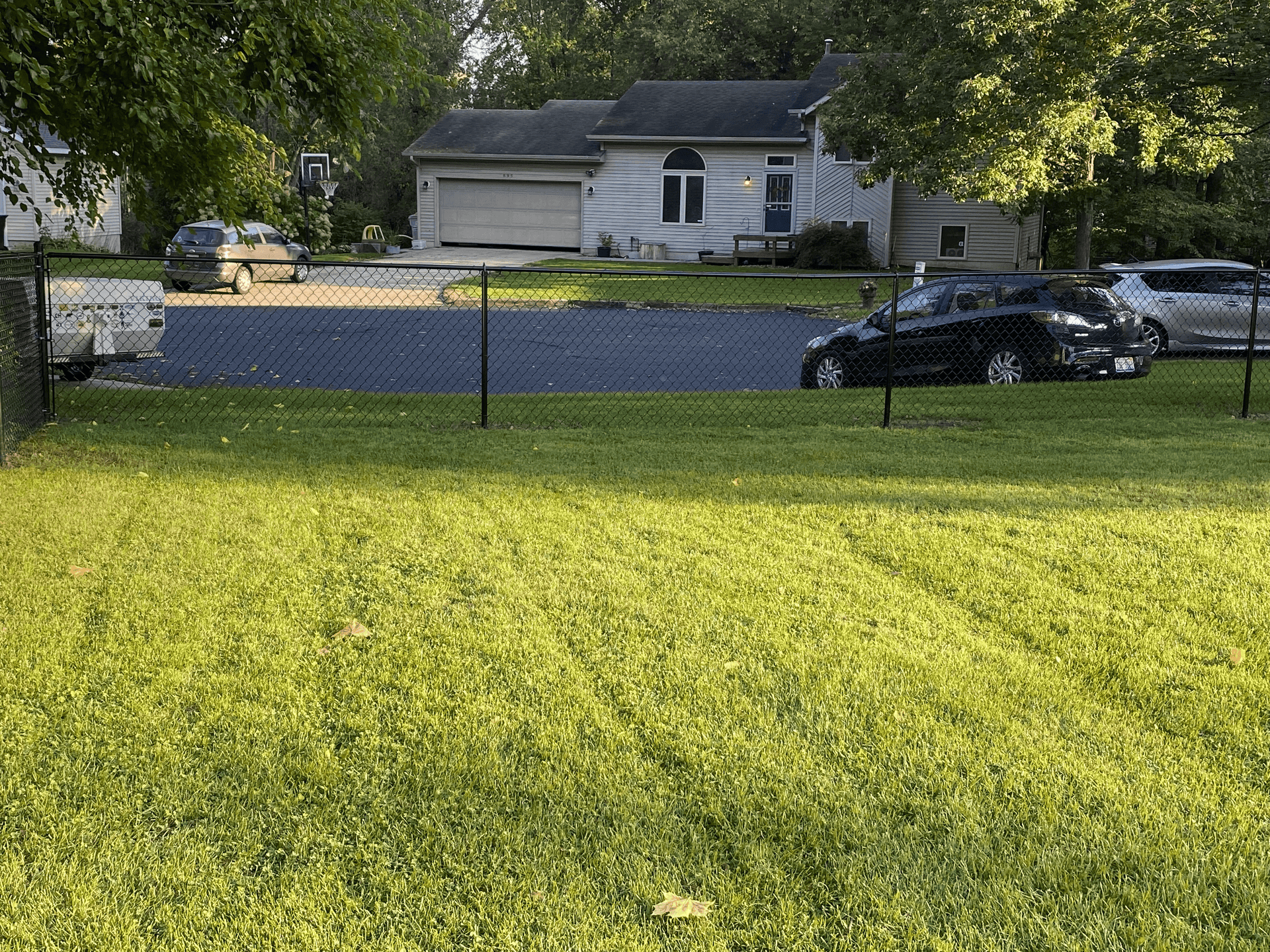 Chain Link Fence