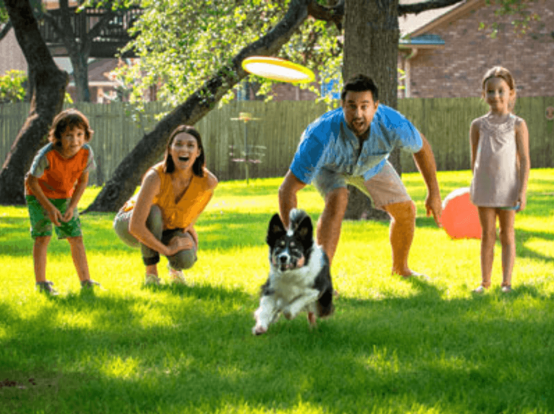 Family playing in yard